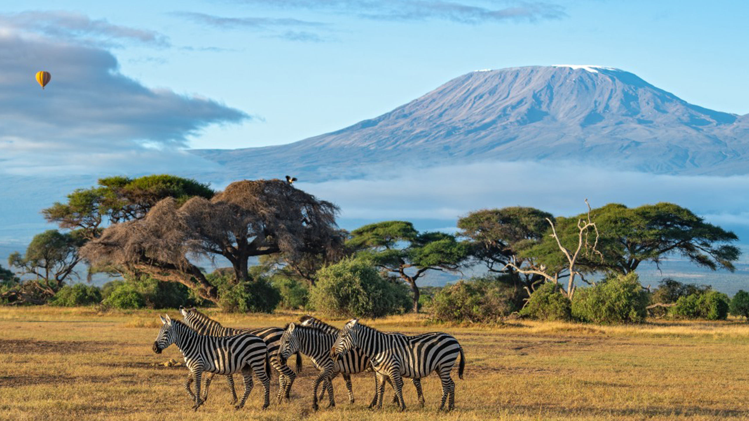 Wonder Tours Tanzania